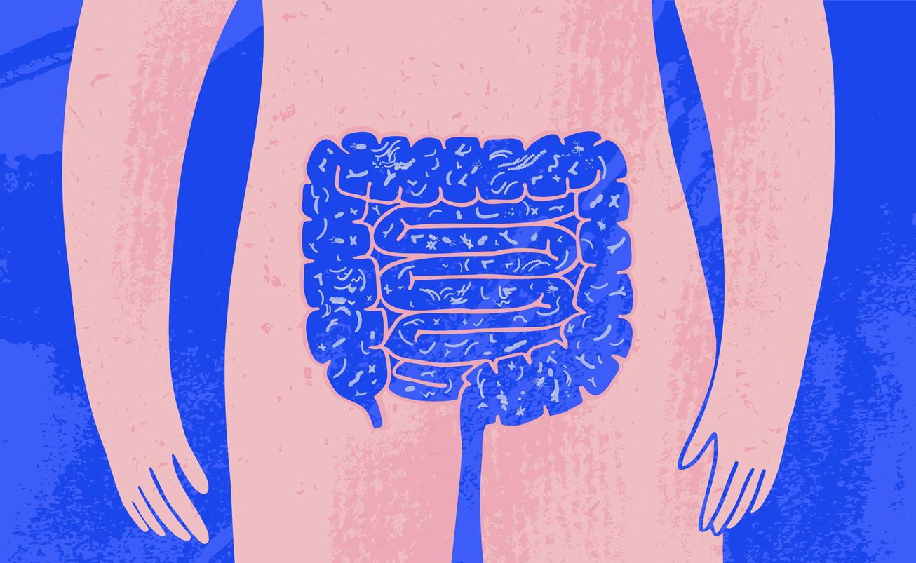 Big Ideas Podcast, Ep 11: Gut Health